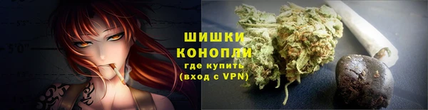 ПСИЛОЦИБИНОВЫЕ ГРИБЫ Краснослободск