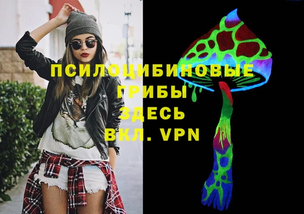 прущая мука Кинешма