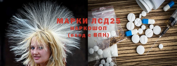 ПСИЛОЦИБИНОВЫЕ ГРИБЫ Кодинск