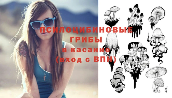прущая мука Кинешма