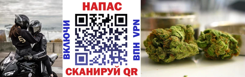 Купить закладки  Инза  Канабис план 